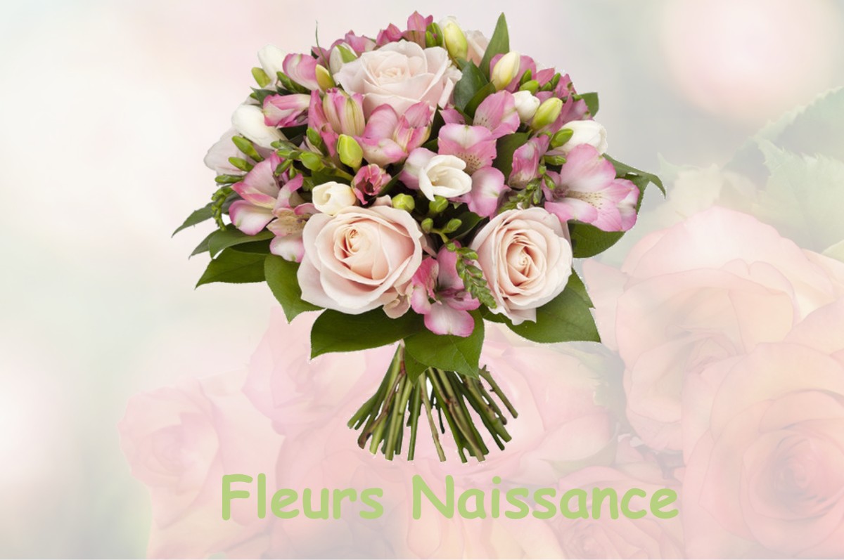 fleurs naissance SAINT-ETIENNE-DE-TINEE