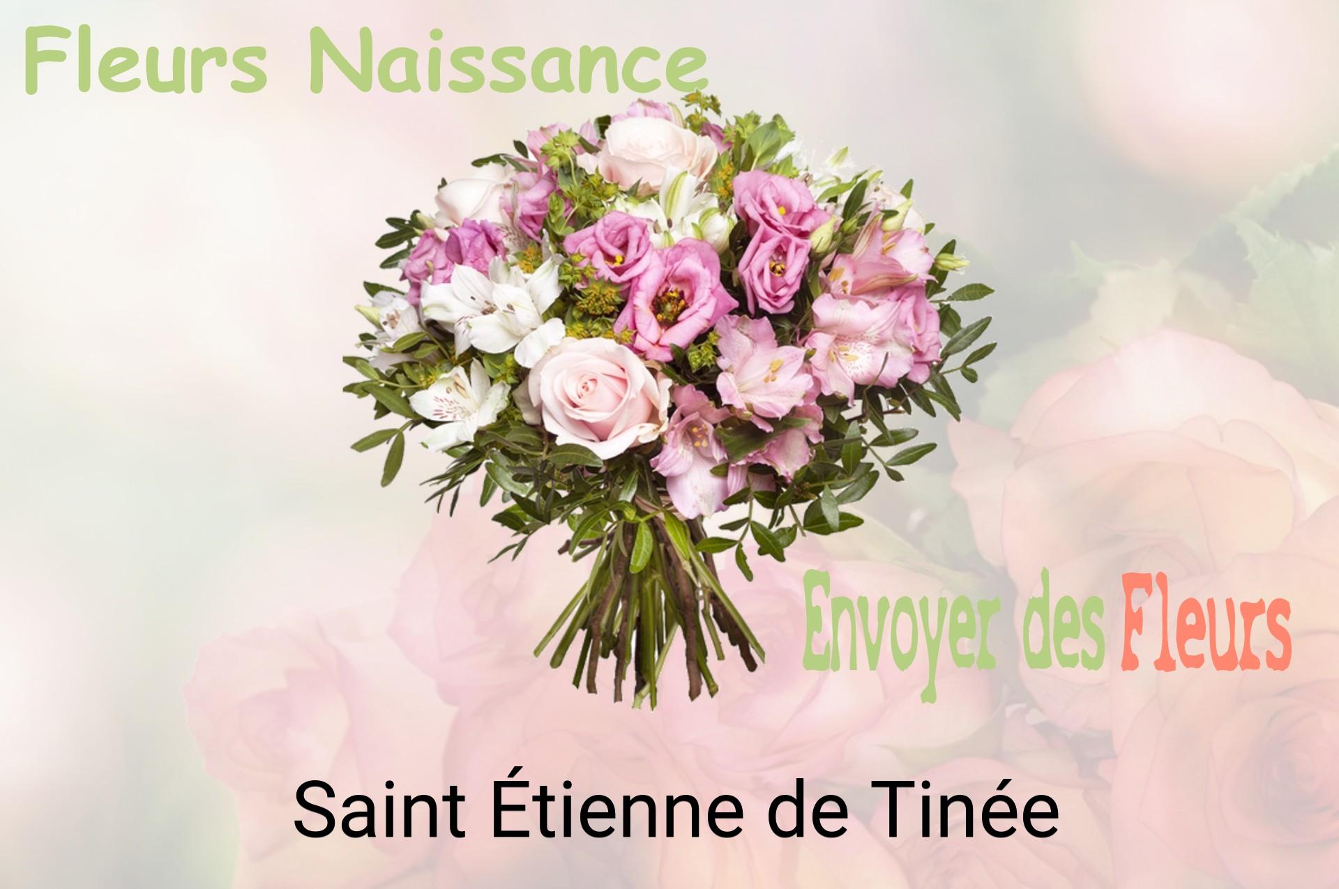 Bouquet de fleurs de naissance livré à Saint-Étienne-de-Tinée