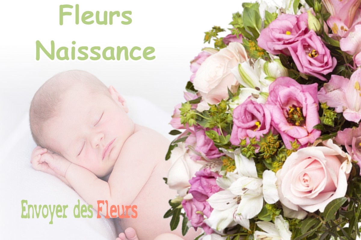 lIVRAISON FLEURS NAISSANCE à SAINT-ETIENNE-DE-TINEE